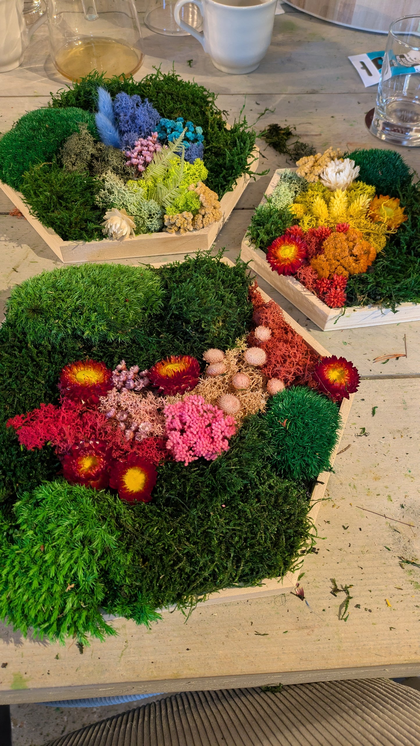 Trockenblumenköpfe