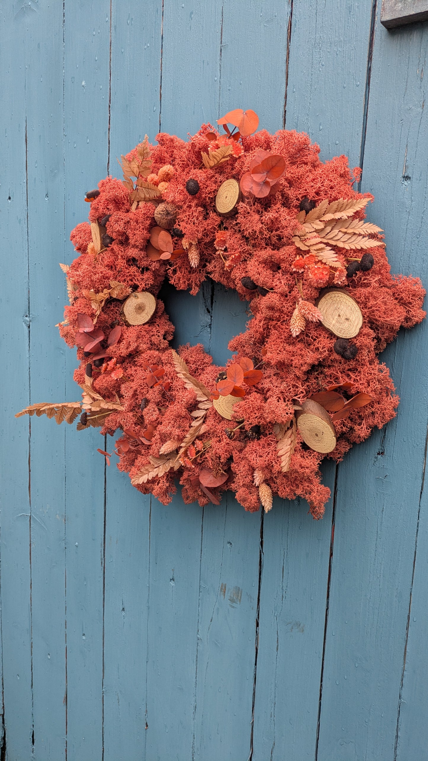 !NEU! Herbstkranz aus Moos !NEU!