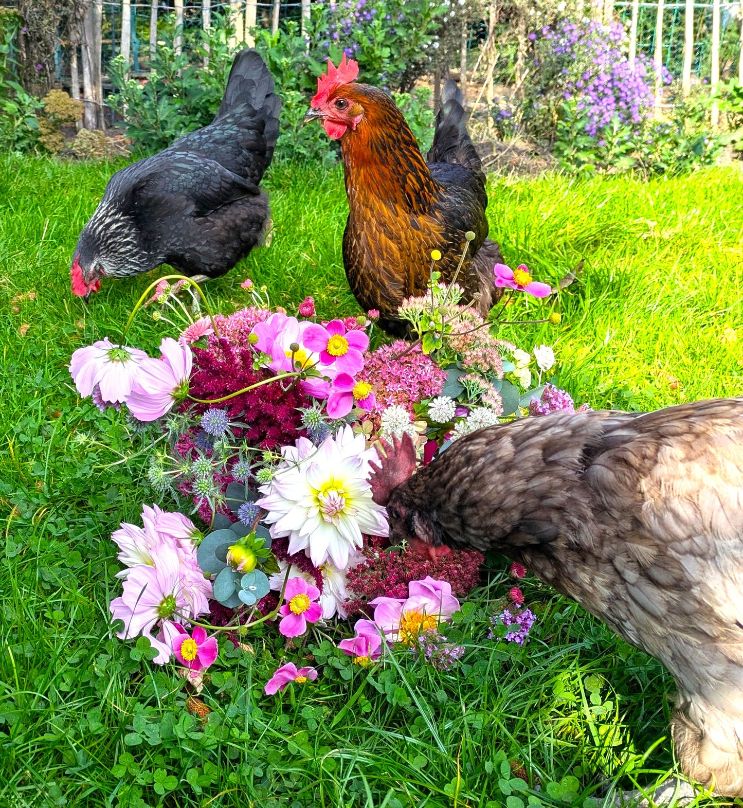 Blumenstrauß selber ernten & binden