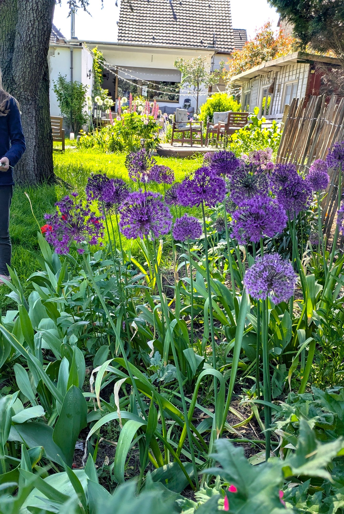 Blumenstrauß selber ernten & binden