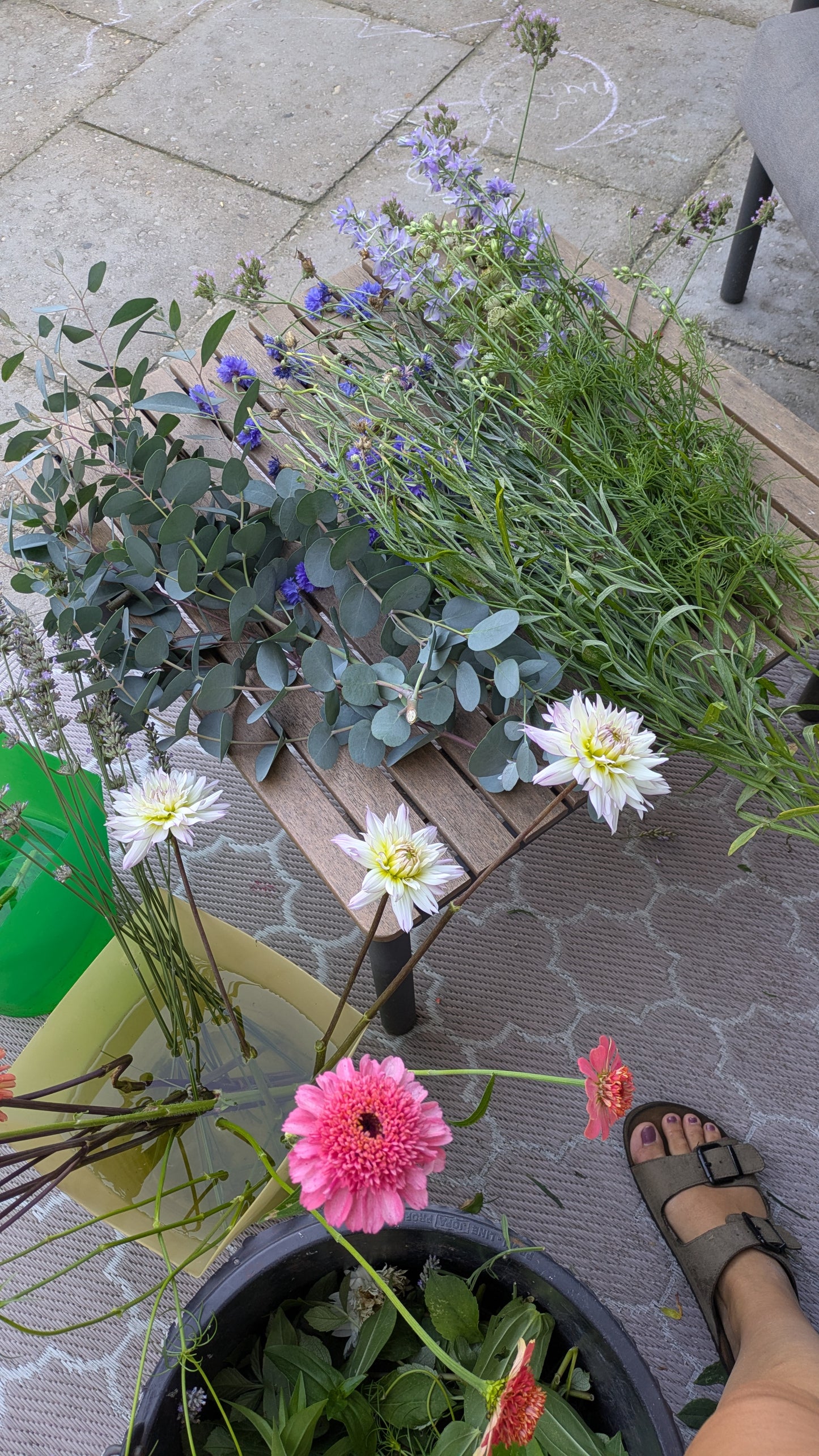 Blumenstrauß selber ernten & binden