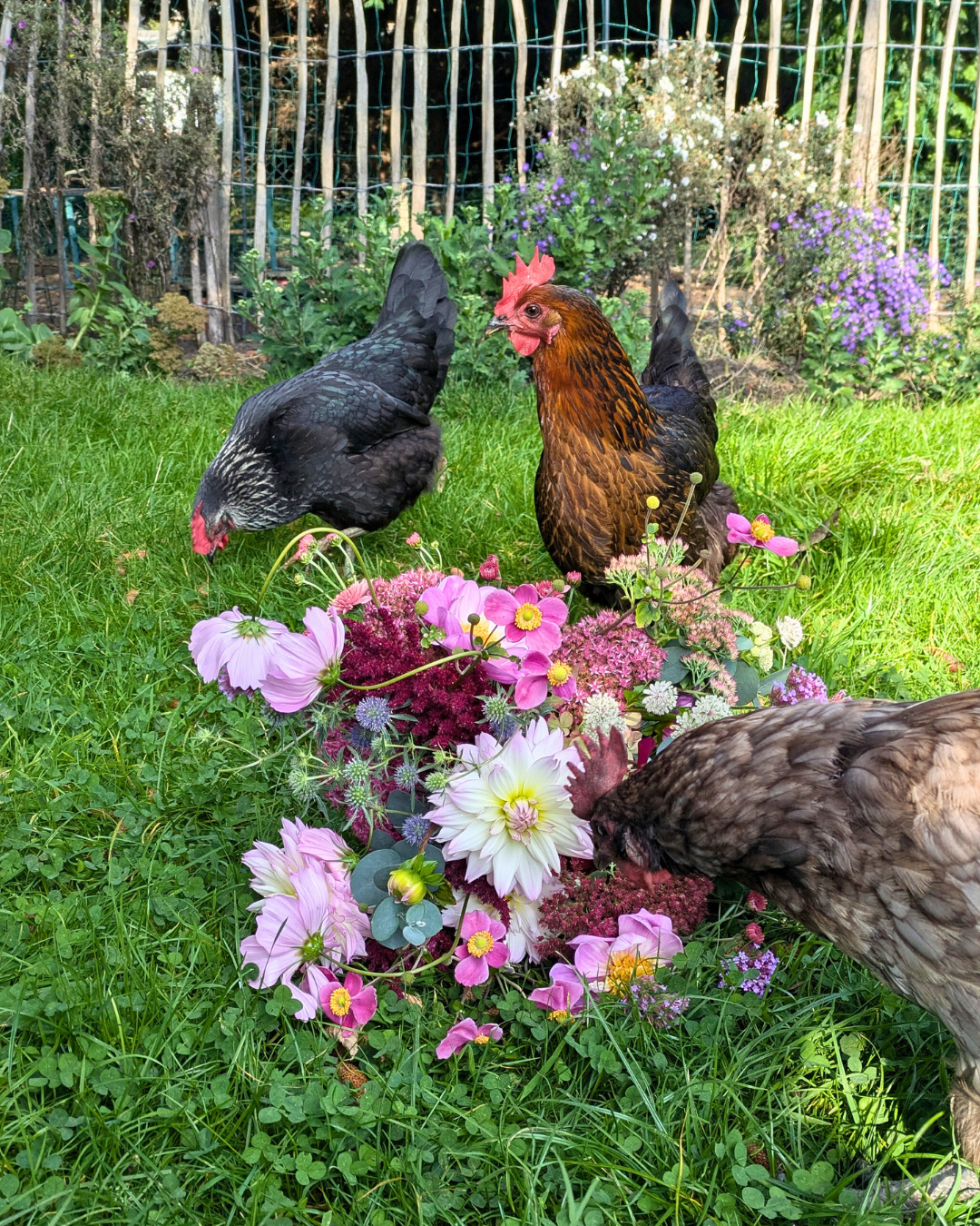 Garten mit allen Sinnen  -  Anbauen, Verarbeiten, Genießen