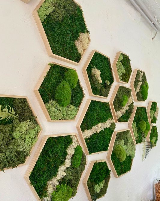 Moosbild Workshop 3x Wabenform