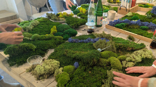 Moosbild Workshop groß 50x70 cm