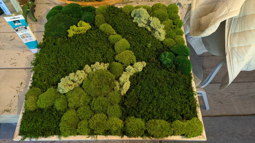 Moosbild Workshop groß 50x70 cm