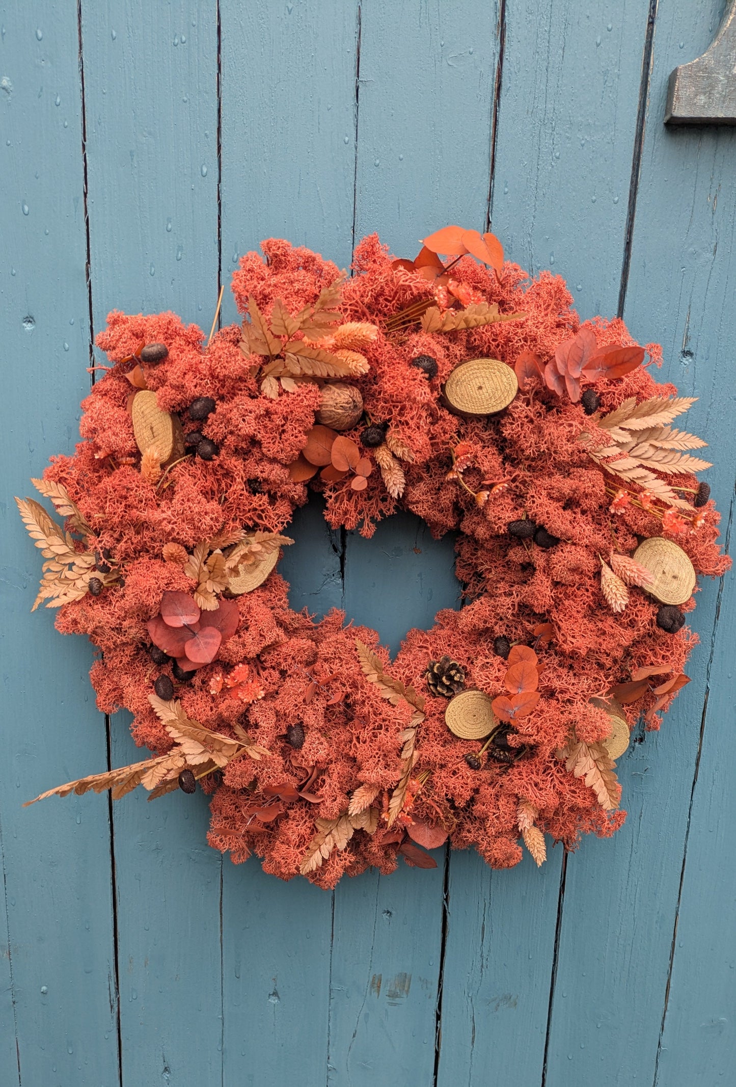 !NEU!  Herbstkranz aus Moos  !NEU!