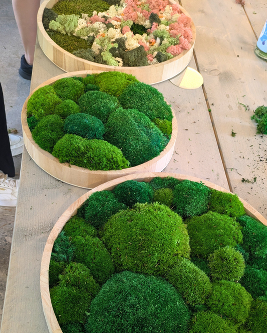 Moosbild Workshop 2x rund 30cm ⌀, 40cm ⌀